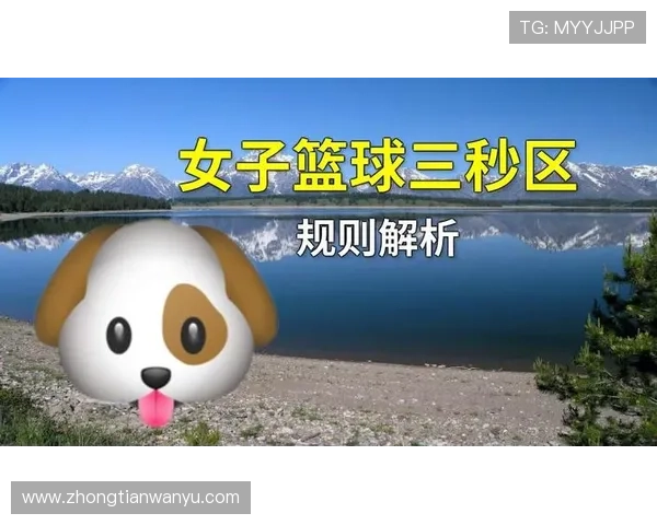 篮球三秒规则国际差异解析：不同体系下的判定标准